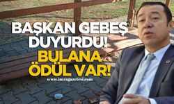 Belediye Başkanı Satılmış Gebeş destek istedi! Bulana ödül verilecek!