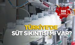 Türkiye'de süt üretimi azalıyor mu?