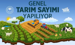 Zonguldak’ta Önemli Sayım!