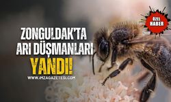 Zonguldak’ta Arı Düşmanları Yandı!