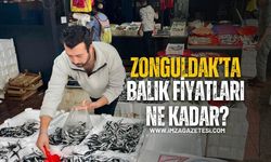 Zonguldak’ta balık fiyatları!