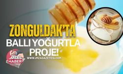 Zonguldak’ta Ballı Yoğurtla Katma Değerli Üretim Projesi!