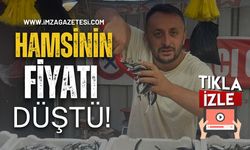 Zonguldak'ta Hamsinin Fiyatı Düştü Mü?