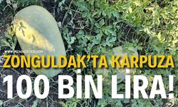 Zonguldak’ta Karpuza 100 Bin Lira!