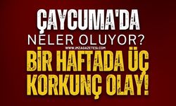 Çaycuma'da Neler Oluyor? Bir Haftada Üç Korkunç Olay!