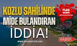 Kozlu Sahilinde Mide Bulandıran İddia!