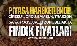 Fındık Piyasası Hareketlendi! Giresun, Ordu, Samsun, Trabzon, Sakarya, Kocaeli, Zonguldak'ta Fındık Fiyatları...