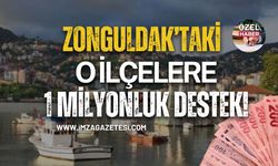 Zonguldak’taki O İlçelere 1 Milyonluk Destek!