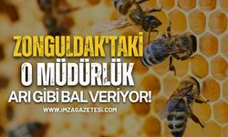 Zonguldak’taki O Müdürlük Arı Gibi Bal Veriyor!