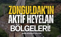 Zonguldak’taki Oralar Aktif Heyelan Bölgesi!