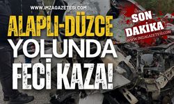 Alaplı- Düzce Yolunda Feci Kaza!
