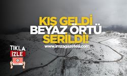 Kış Geldi, Beyaz Örtü Serildi...