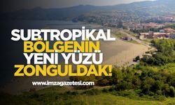 Subtropikal Bölgenin Yeni Yüzü Zonguldak!