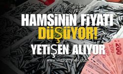 Hamsinin Fiyatı Düştü! Yetişen Alıyor...