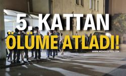 5. KATTAN ÖLÜME ATLADI!