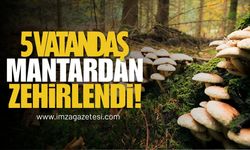 5 Vatandaş Mantardan Zehirlendi!