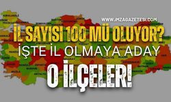 Türkiye'de İl Sayısı 100 Mü Oluyor? İşte İl Olmaya Aday O İlçeler!