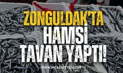 Zonguldak’ta Hamsi Tavan Yaptı!