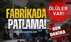 Fabrikada Patlama! Ölüler Var!