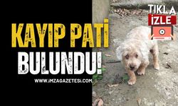 Kilimli’de Kayıp Köpek Pati Bulundu