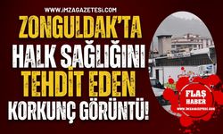 Zonguldak’ta sağlığı tehdit eden korkunç görüntü