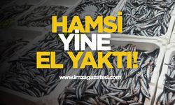 Hamsi Yine El Yaktı!
