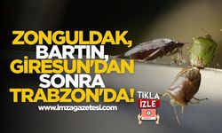 Zonguldak, Bartın, Giresun'dan Sonra Trabzon'da!