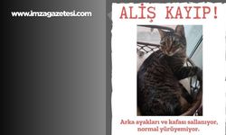 Dikkat Aliş Kayboldu!