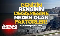 Denizin Renginin Değişmesine Neden Olan Faktörler!