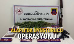 Alaplı 'da Uyuşturucu Operasyonu: Çok Sayıda Madde ve Silah Ele Geçirildi