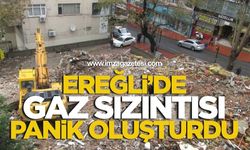 Ereğli Gaz Sızıntısı Panik Oluşturdu