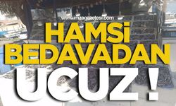 Hamsi Bedavadan Ucuz!