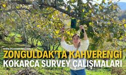 Zonguldak’ta Kahverengi Kokarca Survey Çalışmaları!
