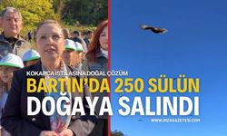 Kokarca İstilasına Doğal Çözüm: Bartın'da 250 Sülün Doğaya Salındı
