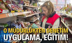 O Müdürlükten Denetim, Uygulama, Eğitim!