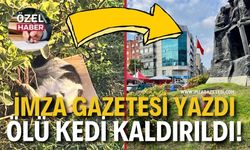 İmza Gazetesi Yazdı, Madenci Anıtı’ndaki Ölü Yavru Kedi Kaldırıldı!