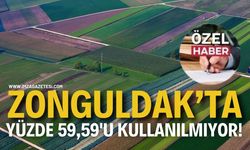 Zonguldak’ta Yüzde 59,59’u Kullanılmıyor!