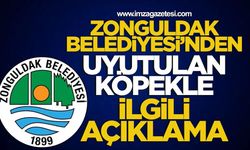 Zonguldak Belediyesi’nden Uyutulan Köpekle İlgili Açıklama