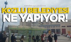 Yolcu Duraklar Dökülüyor. Kozlu Belediyesi Ne Yapıyor!