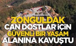 Zonguldak, Can Dostlar İçin Güvenli Bir Yaşam Alanına Kavuştu