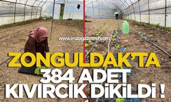 Zonguldak’ta 384 Adet Kıvırcık Dikildi!