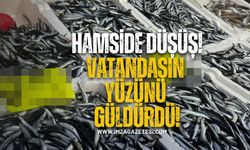Zonguldak’ta Hamsi fiyatı düştü!