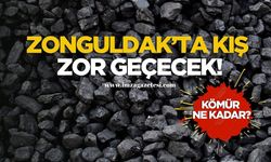 Asgari Ücretliyi Yakacak Fiyat! TTK'nın Kömürü Cep Yakıyor!