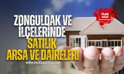 Zonguldak, Ereğli, Çaycuma, Devrek, Alaplı, Kozlu'da satılık arsa ve daireler...