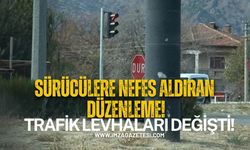 Karadeniz Yolunda Kafa Karıştıran Trafik Levhaları Kaldırıldı!