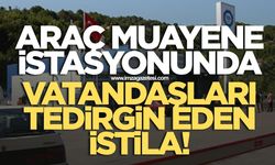 Zonguldak'ta Araç Muayene İstasyonunda Vatandaşları Tedirgin Eden İstila