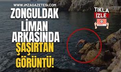 Zonguldak Liman Arkasında Şaşırtan Görüntü! Soğuğa Aldırmadan Denize Girdi