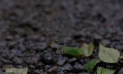 Ayhan Hınçal Neden Öldü? Ölüm Sebebi Nedir?