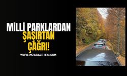 Yedigöller Kilitlendi! Milli Parklar’dan Şaşırtan Çağrı!