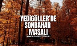 Sonbaharda vatandaşların uğrak noktası oldu! Yedigöller'de sonbahar masalı!